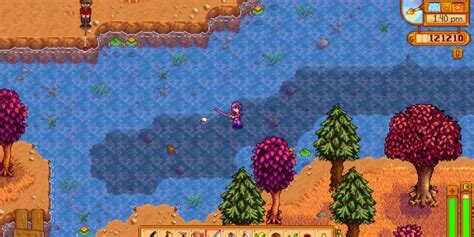 stardew valley out of bounds|out of bounds .
